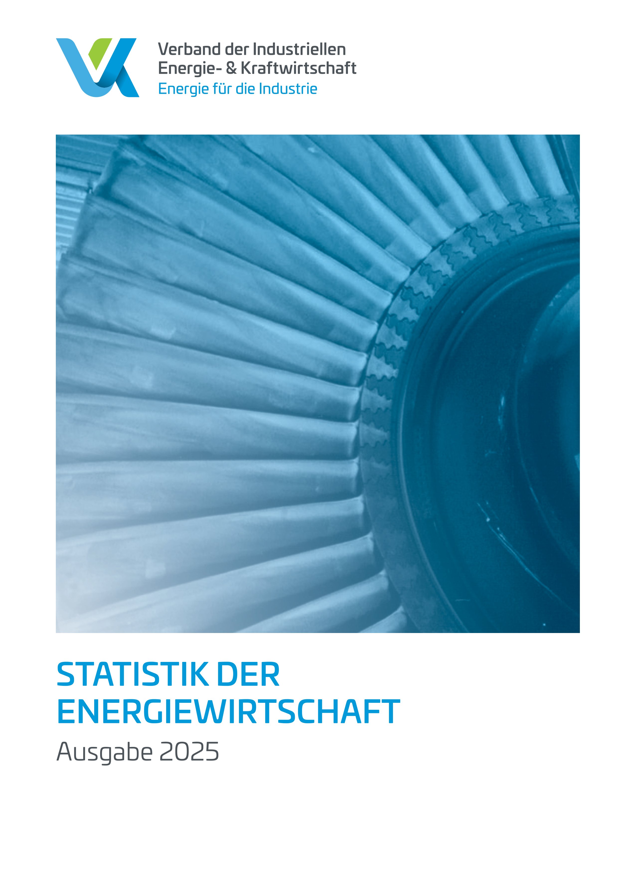 VIK-Statistik der Energiewirtschaft 2025