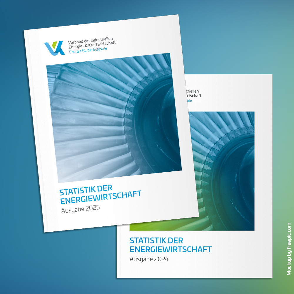 Paket-Angebot: VIK Statistik 2024 & 2025